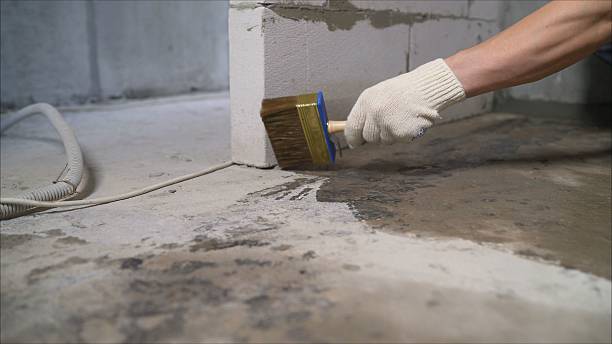24/7 Emergency Emergency Waterproofing experts in Leonard, MI